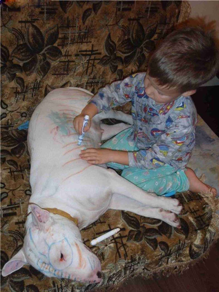 ൫fЩСˡŰޡȌ9