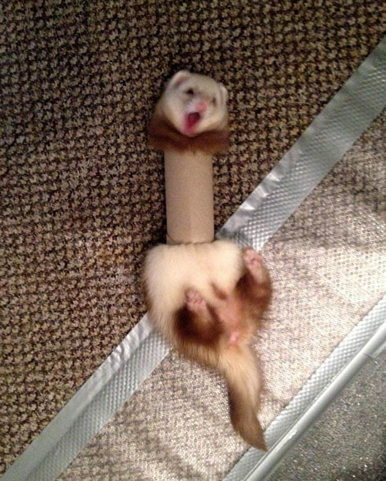 ːۡ׌̿ȌܑB3