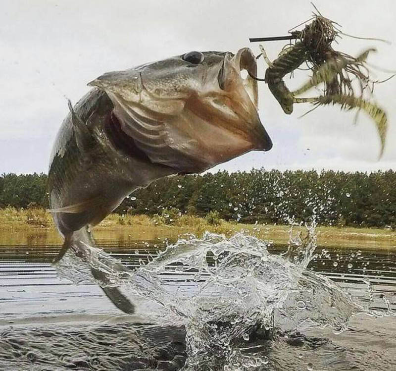 Ƭmģ ʲ8