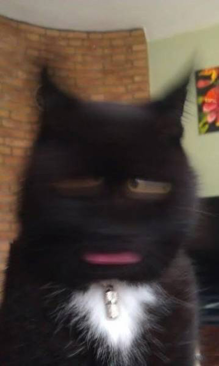 Ƭmģ ʲ2