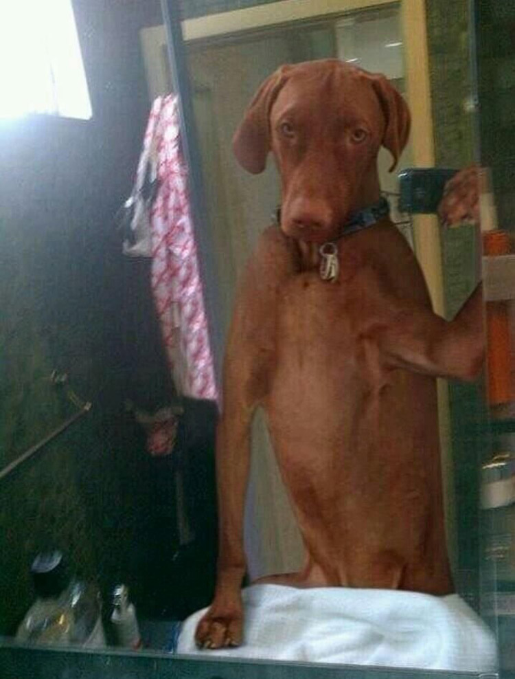 ˇĄġ7